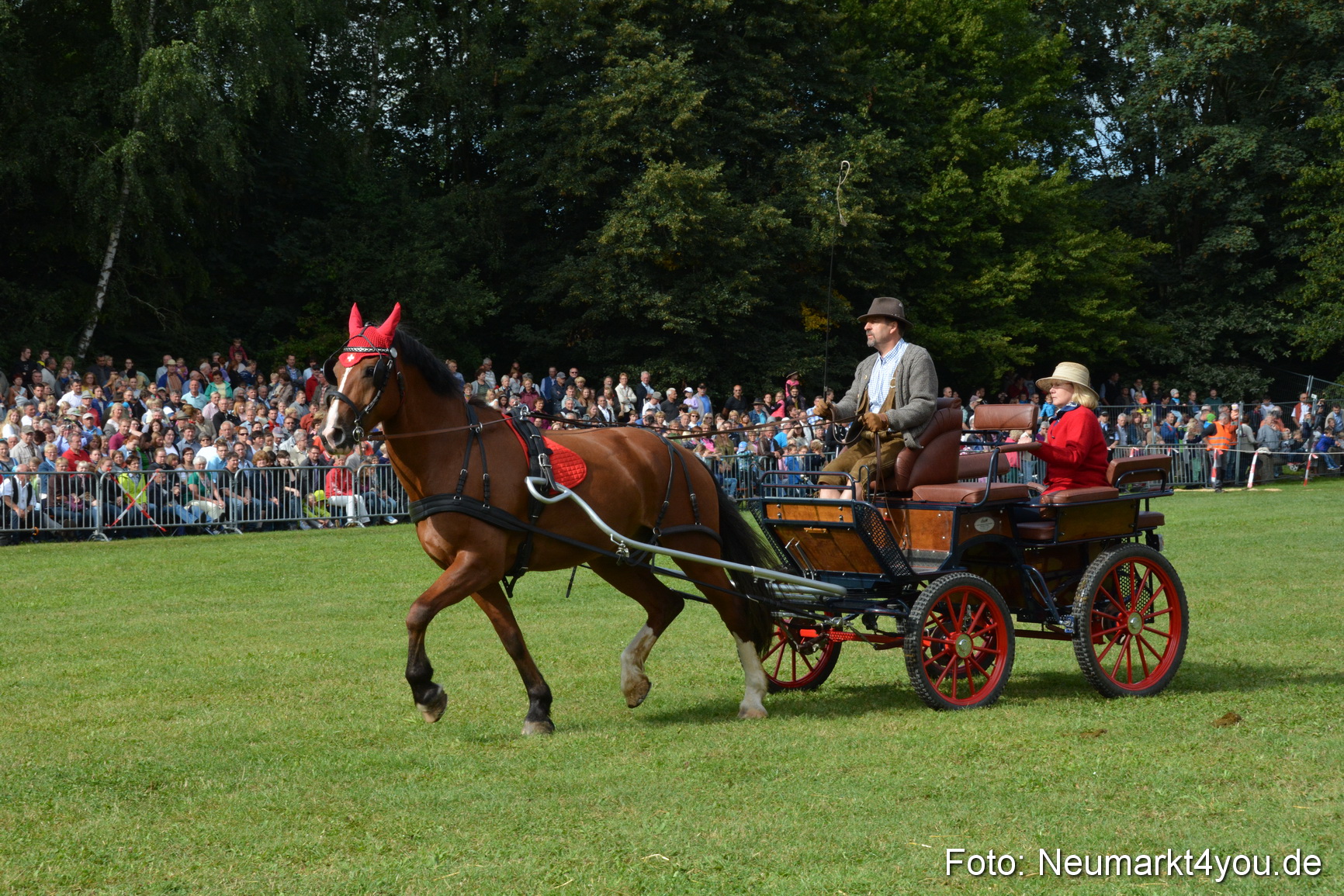 Pferde und Fohlenschau 2016 0153