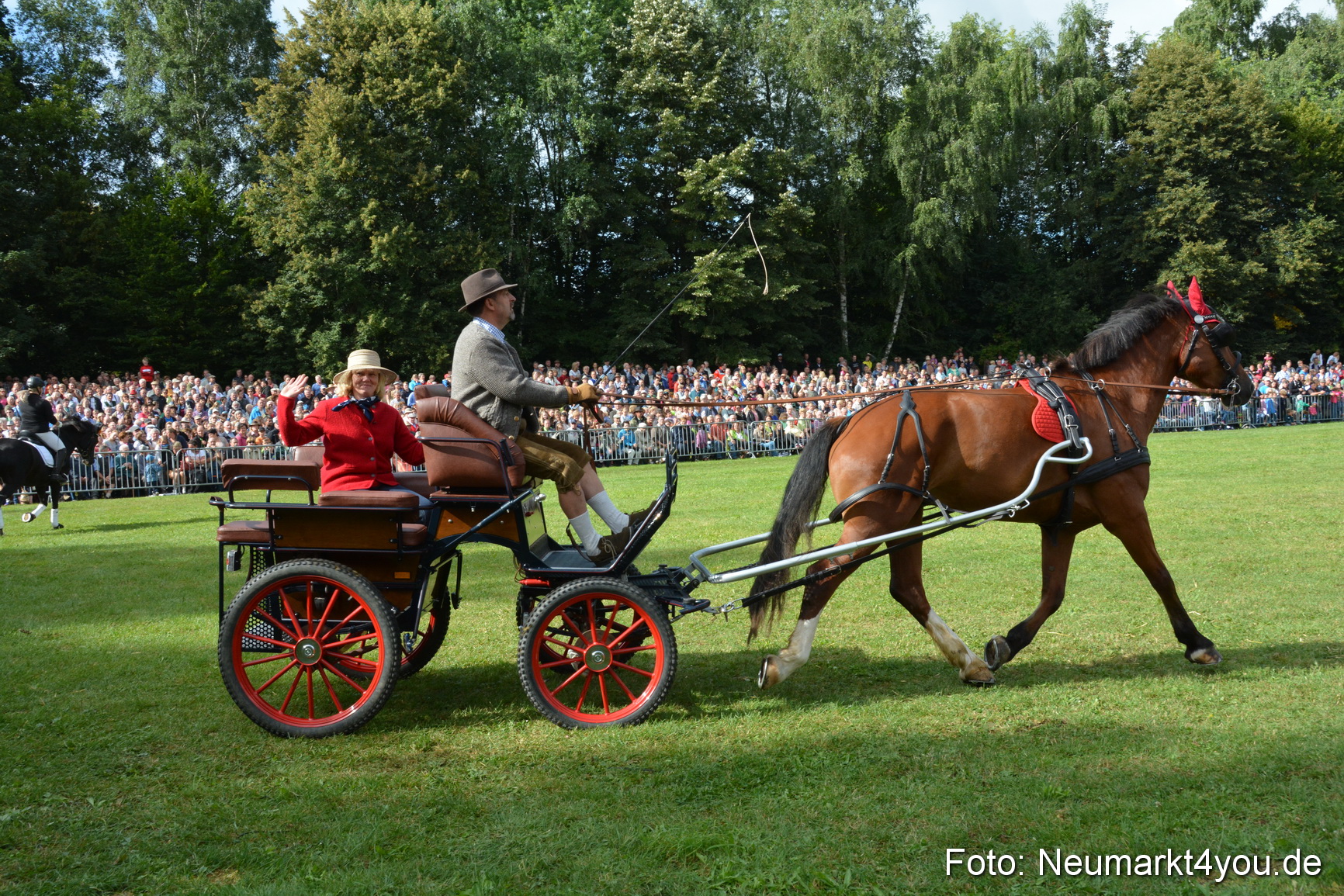 Pferde und Fohlenschau 2016 0158
