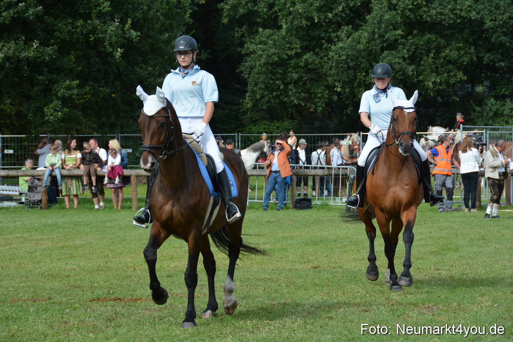 Pferde und Fohlenschau 2016 0168