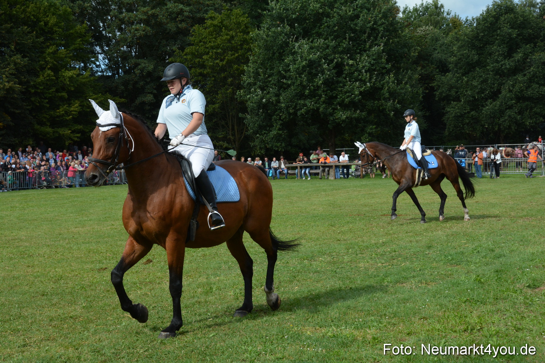 Pferde und Fohlenschau 2016 0169