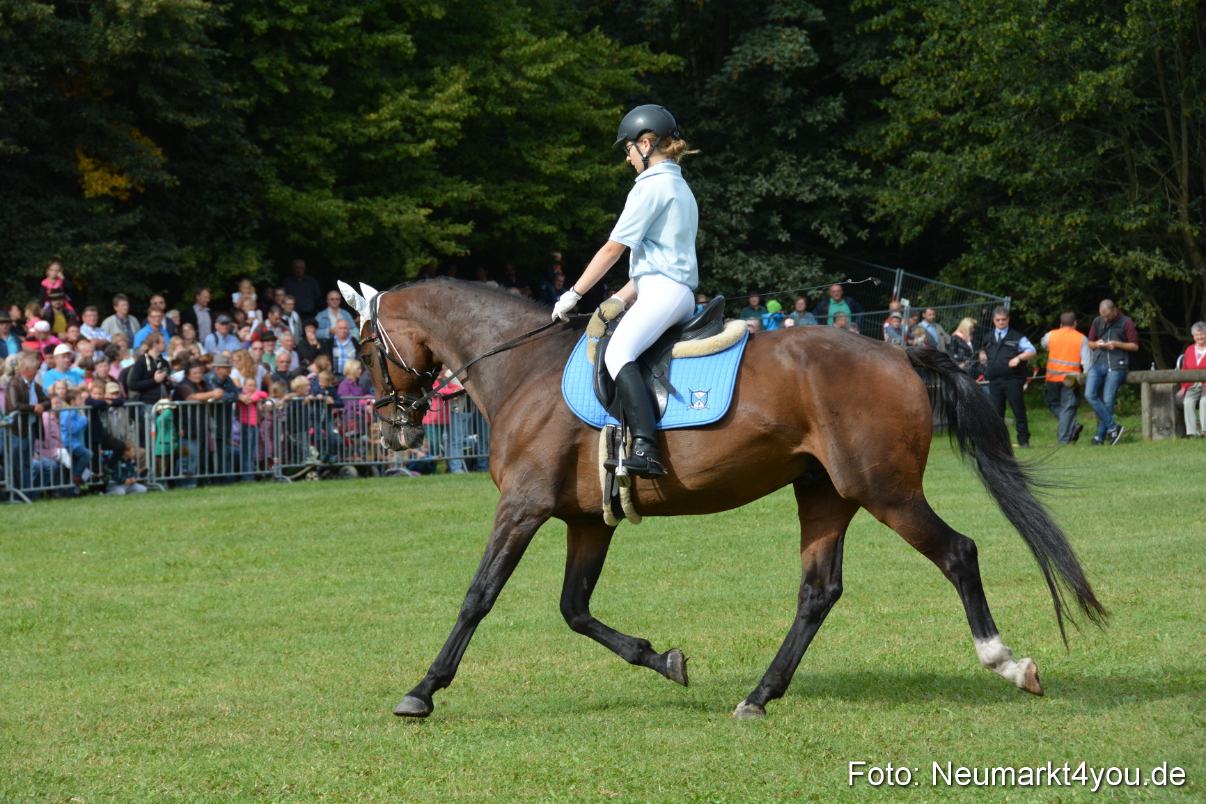 Pferde und Fohlenschau 2016 0170