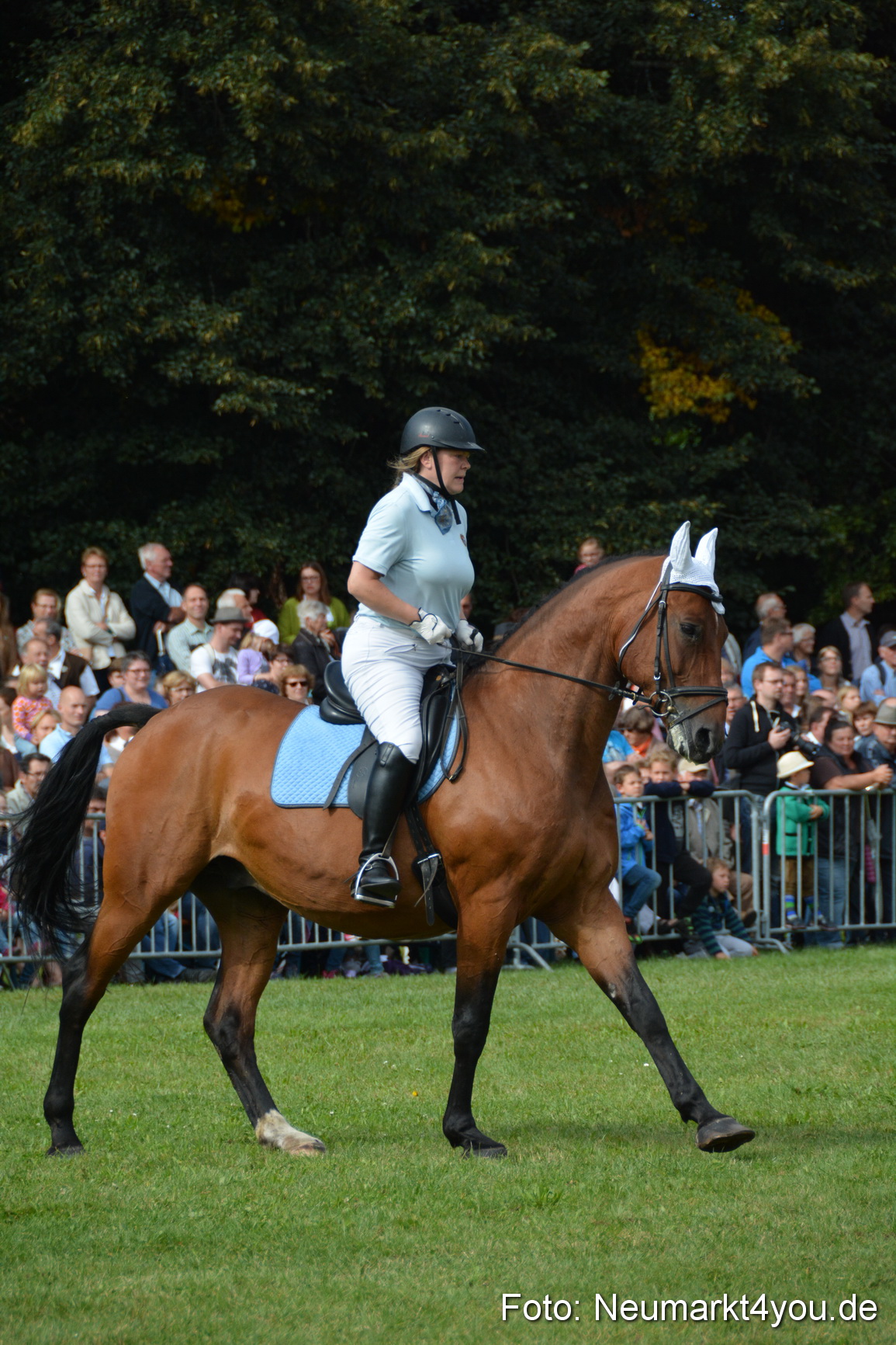Pferde und Fohlenschau 2016 0171