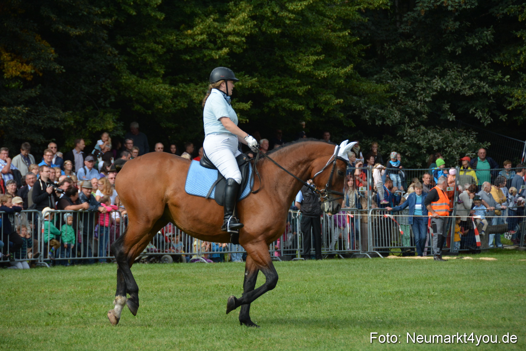 Pferde und Fohlenschau 2016 0172