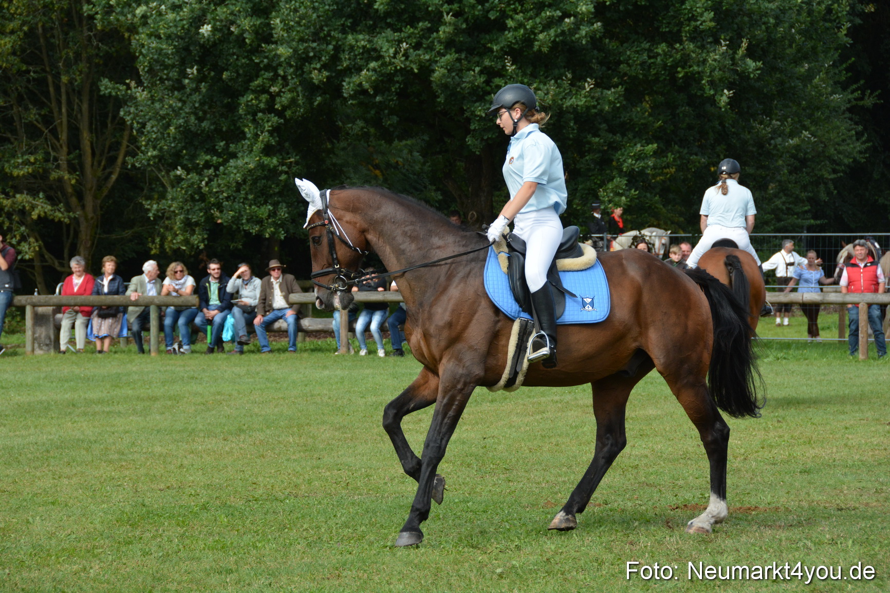 Pferde und Fohlenschau 2016 0173