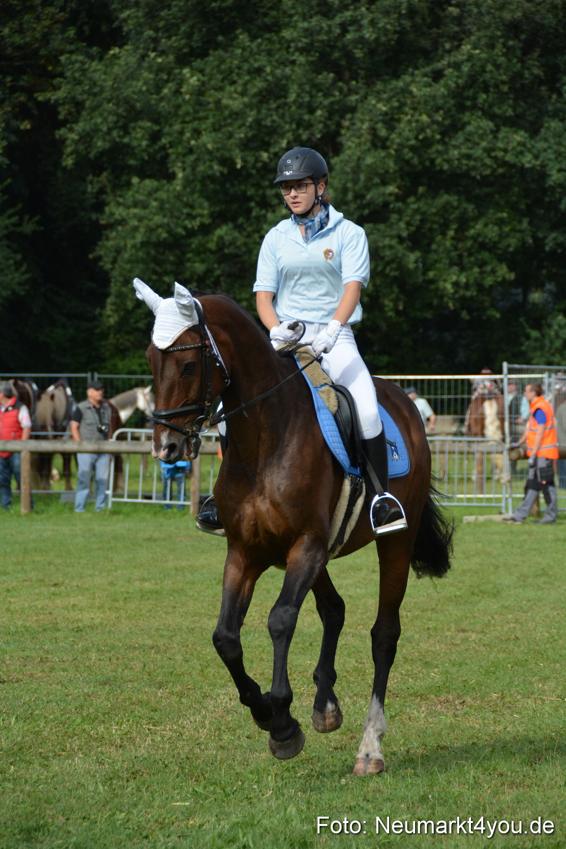Pferde und Fohlenschau 2016 0174