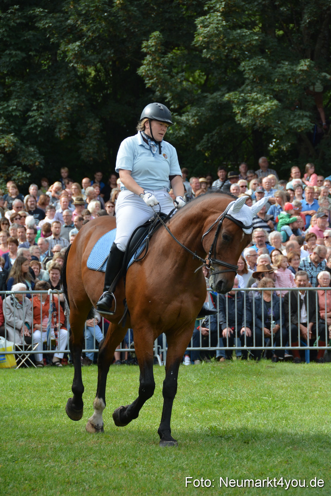 Pferde und Fohlenschau 2016 0175