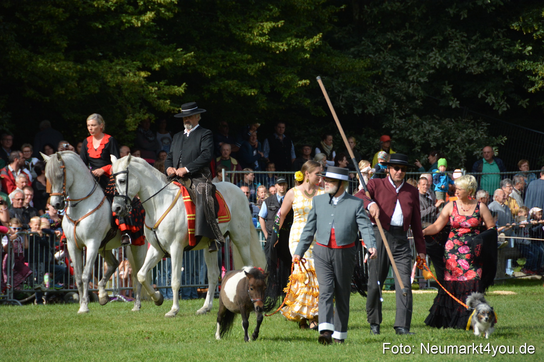 Pferde und Fohlenschau 2016 0176