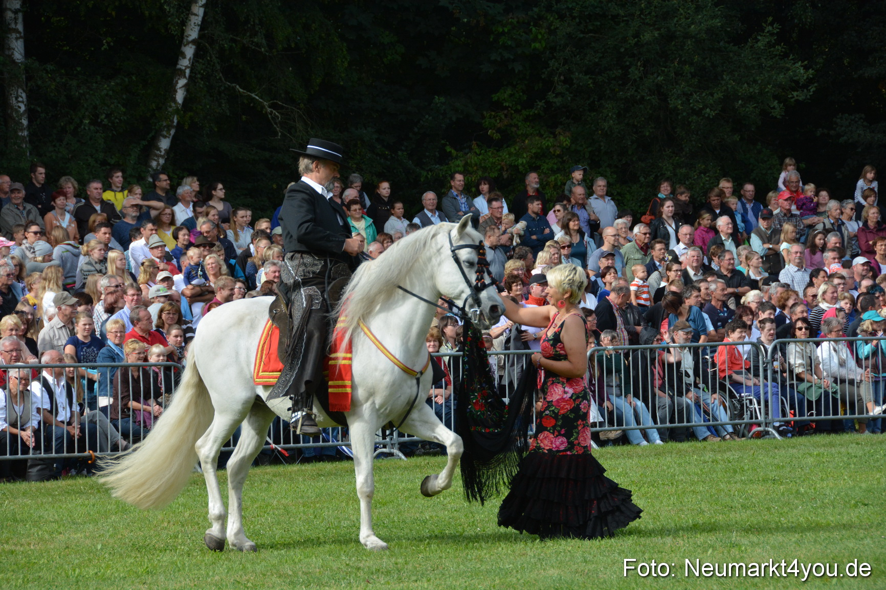 Pferde und Fohlenschau 2016 0177