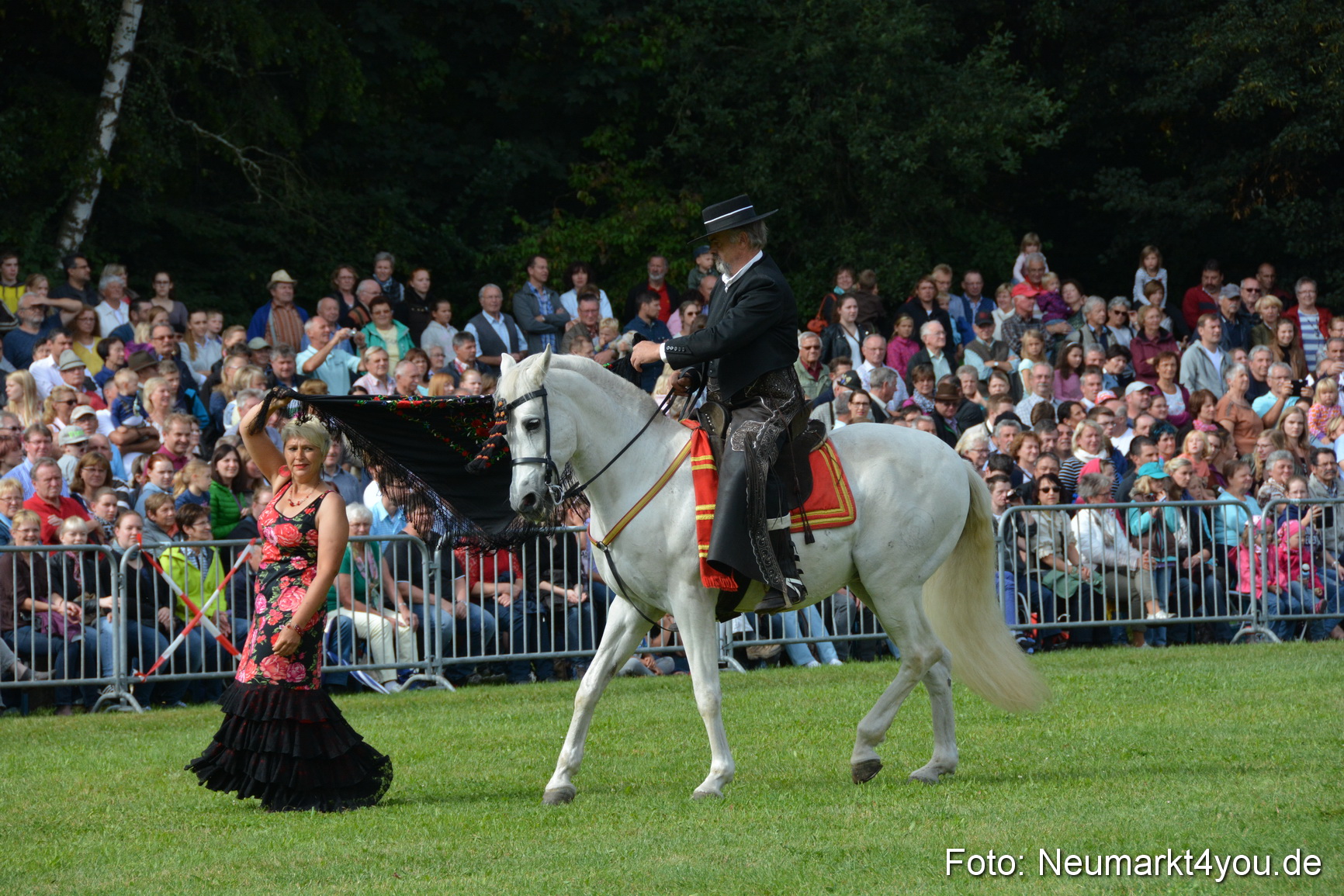 Pferde und Fohlenschau 2016 0178