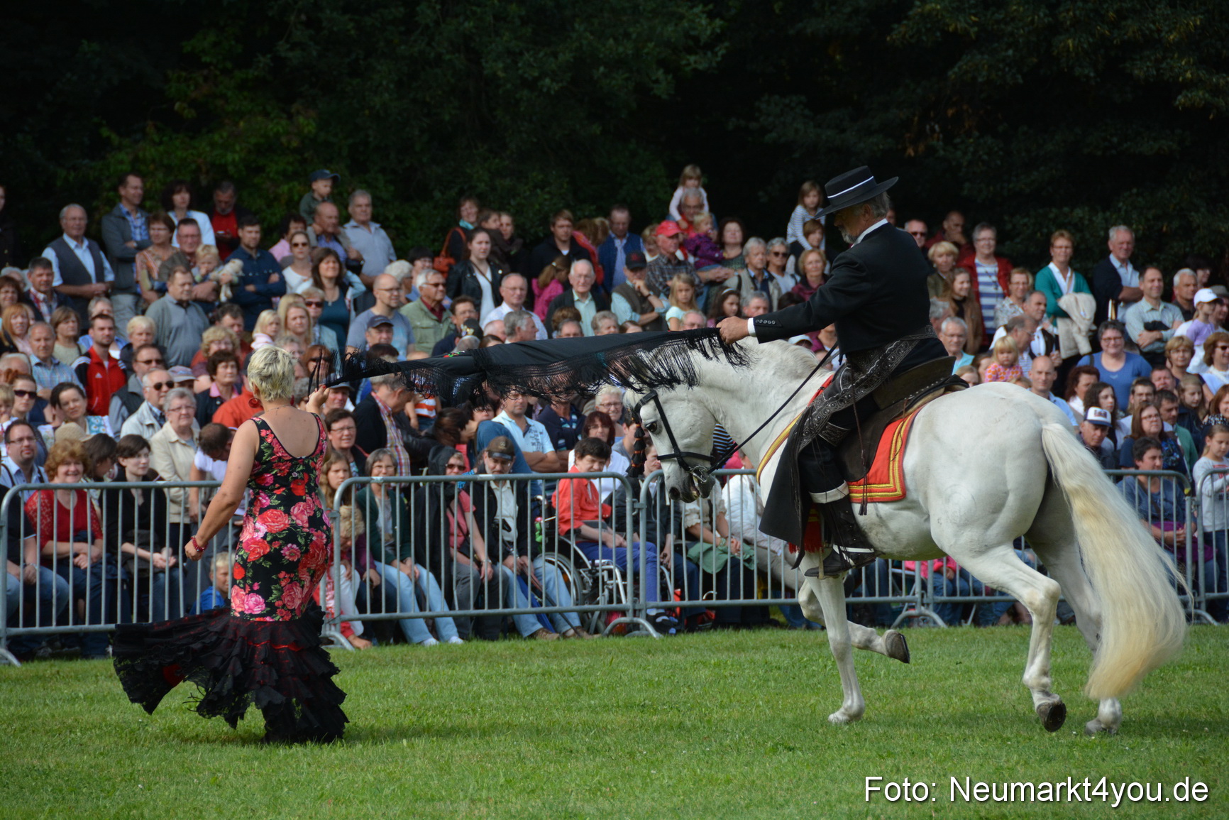 Pferde und Fohlenschau 2016 0179