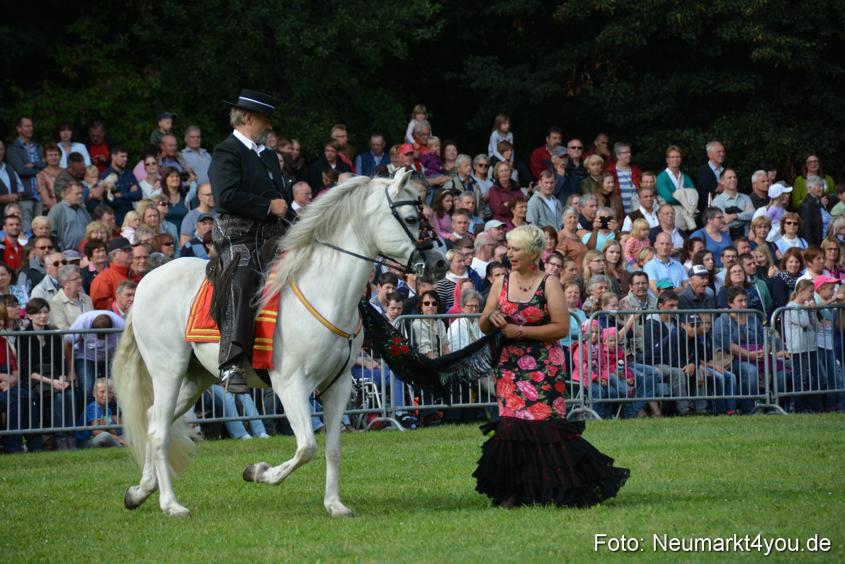 Pferde und Fohlenschau 2016 0180