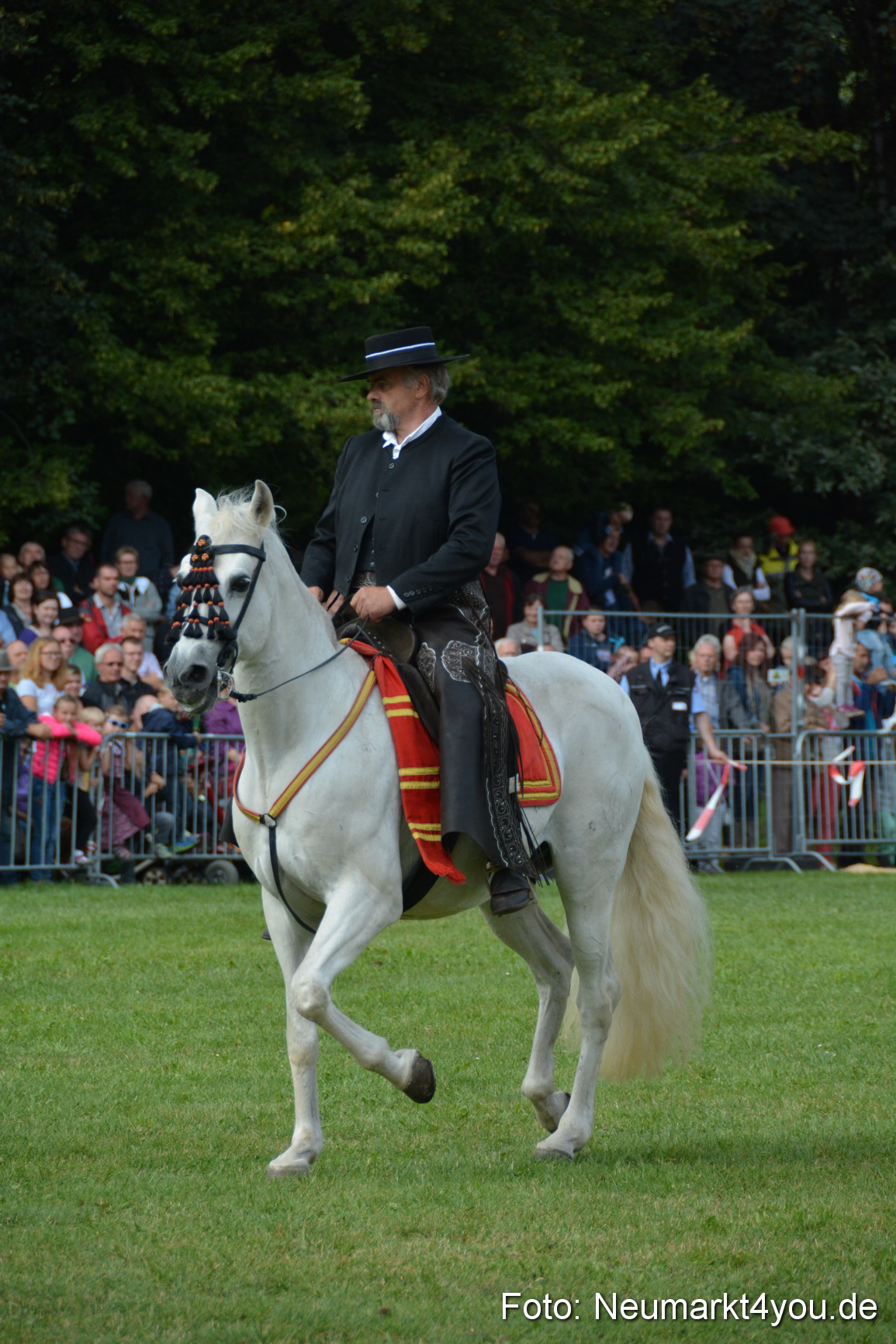 Pferde und Fohlenschau 2016 0181
