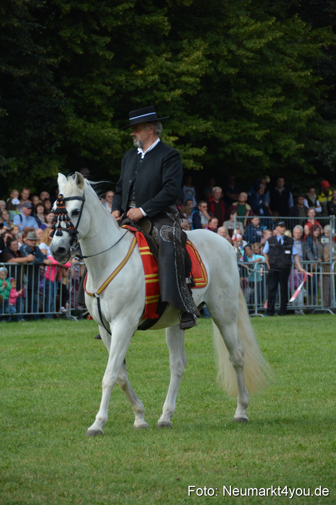 Pferde und Fohlenschau 2016 0182