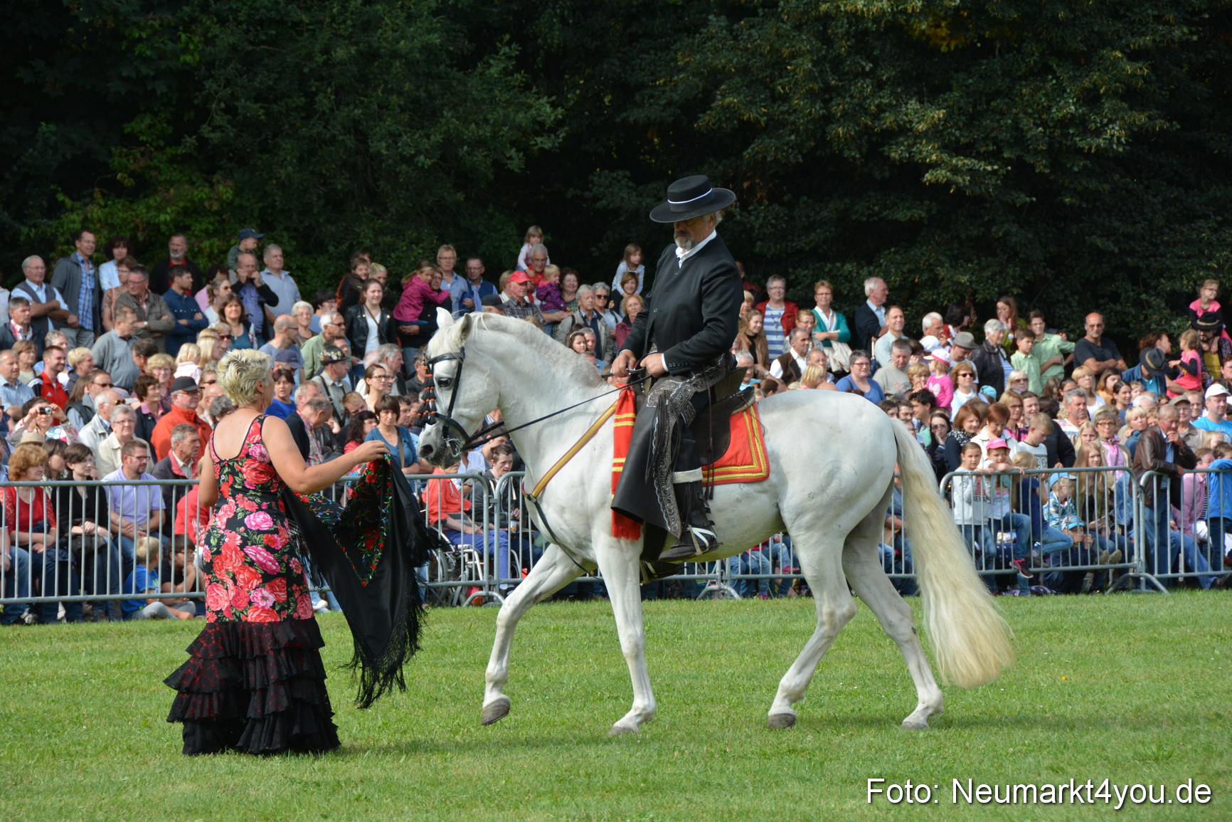 Pferde und Fohlenschau 2016 0183