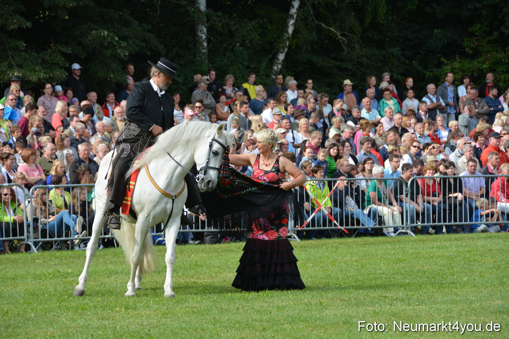 Pferde und Fohlenschau 2016 0184