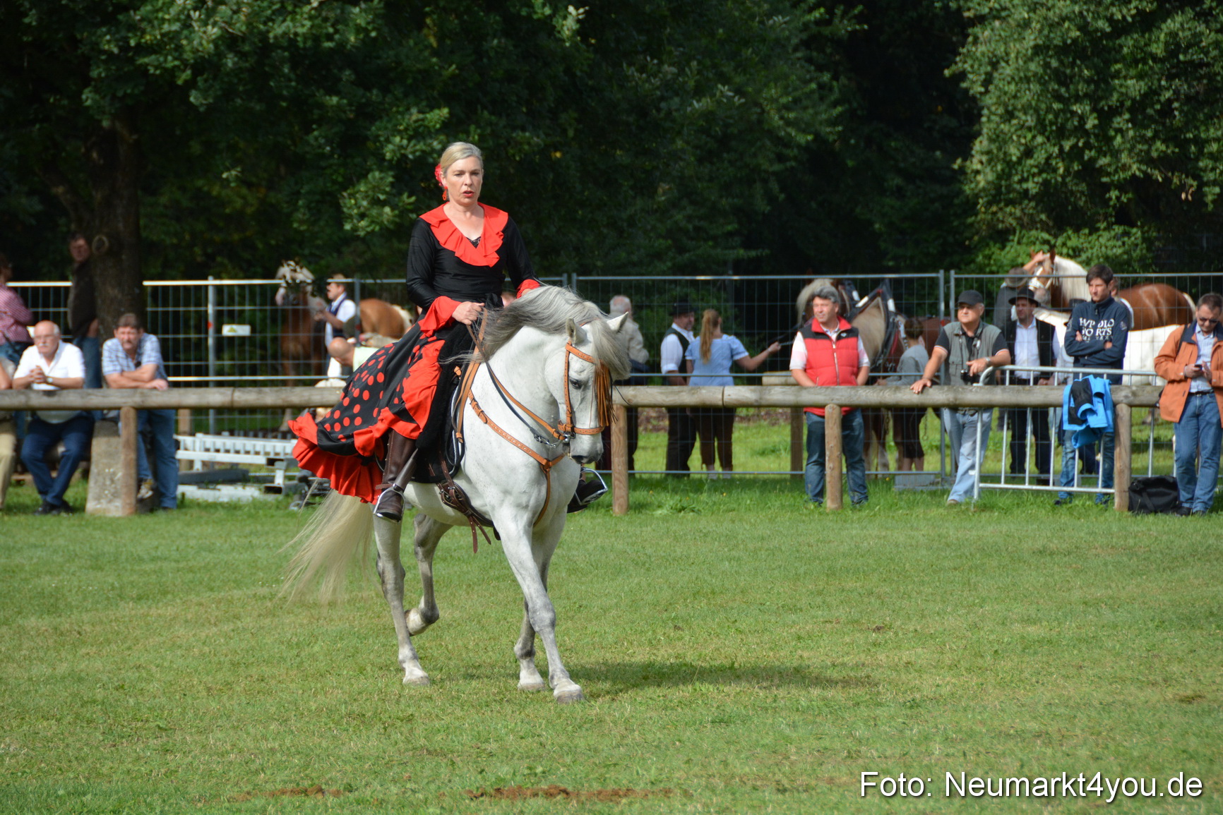 Pferde und Fohlenschau 2016 0185