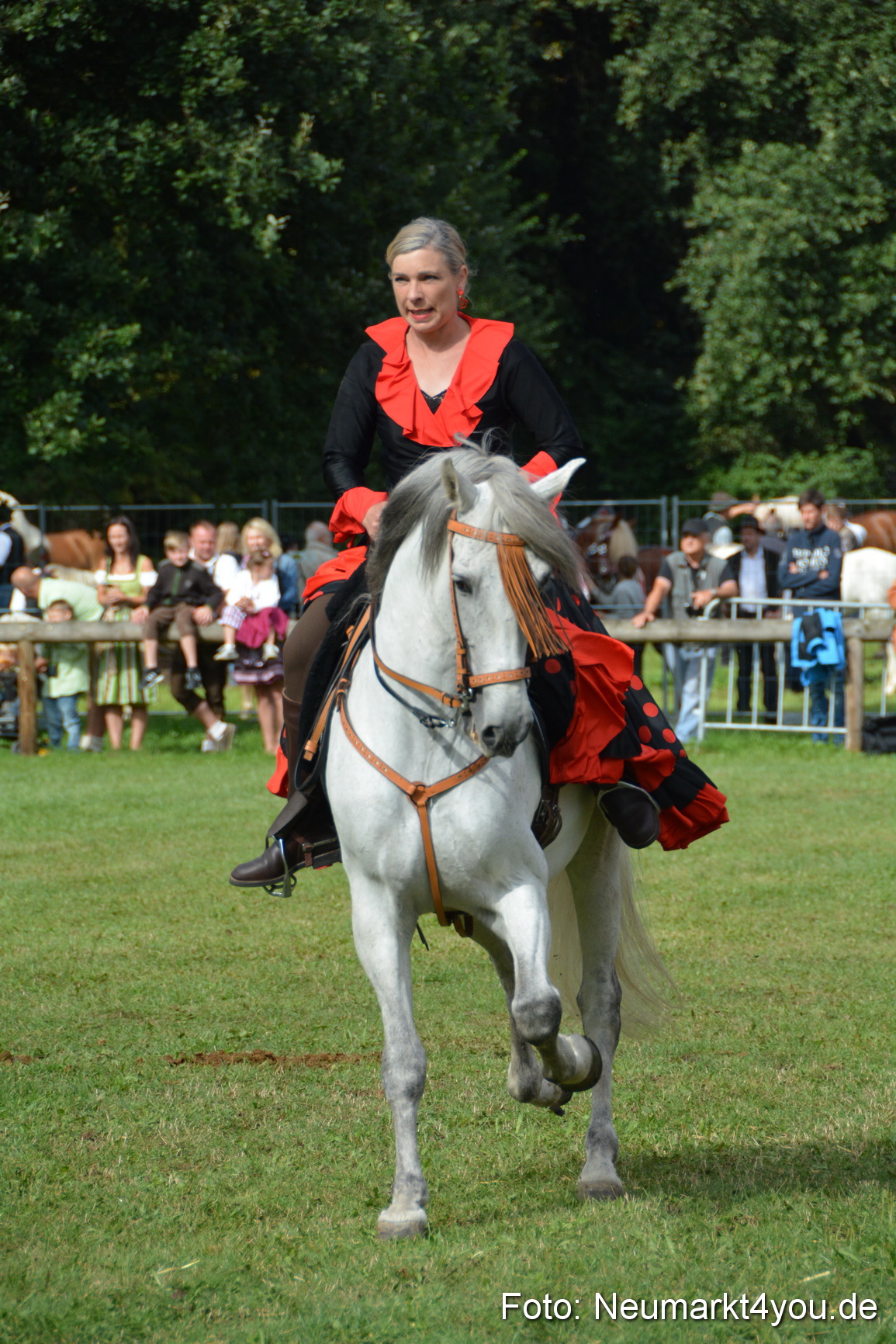 Pferde und Fohlenschau 2016 0186