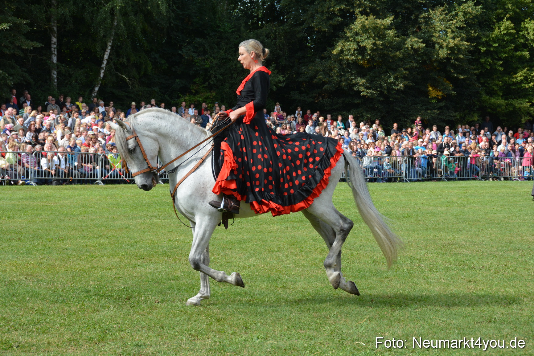Pferde und Fohlenschau 2016 0187