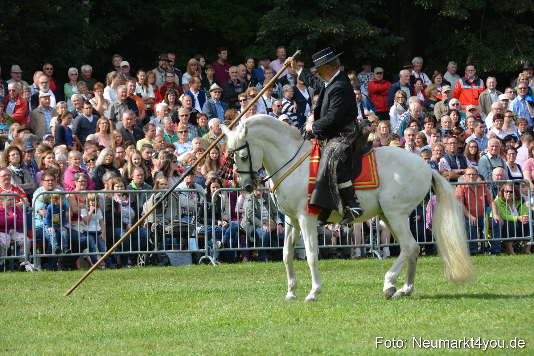 Pferde und Fohlenschau 2016 0188