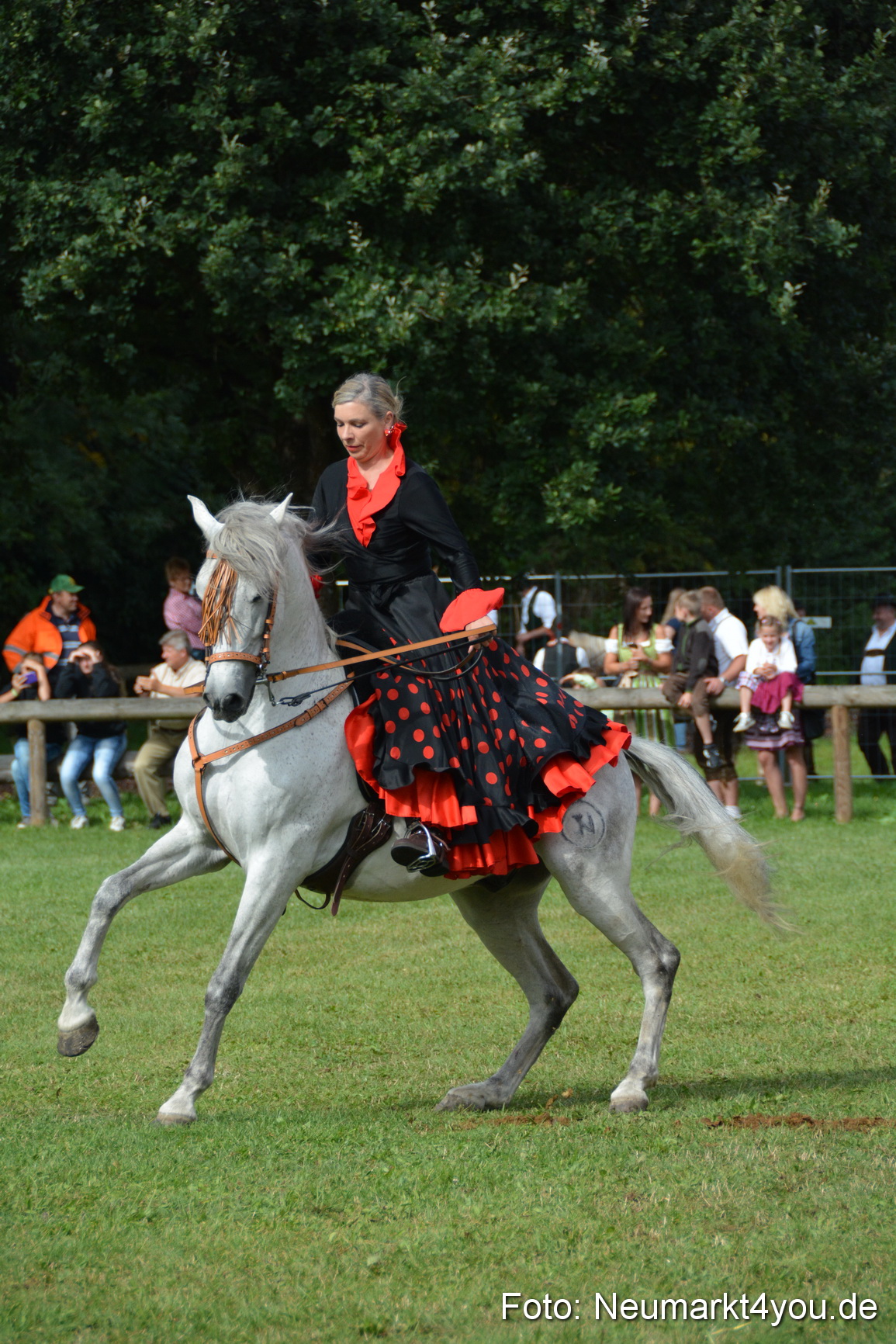Pferde und Fohlenschau 2016 0190