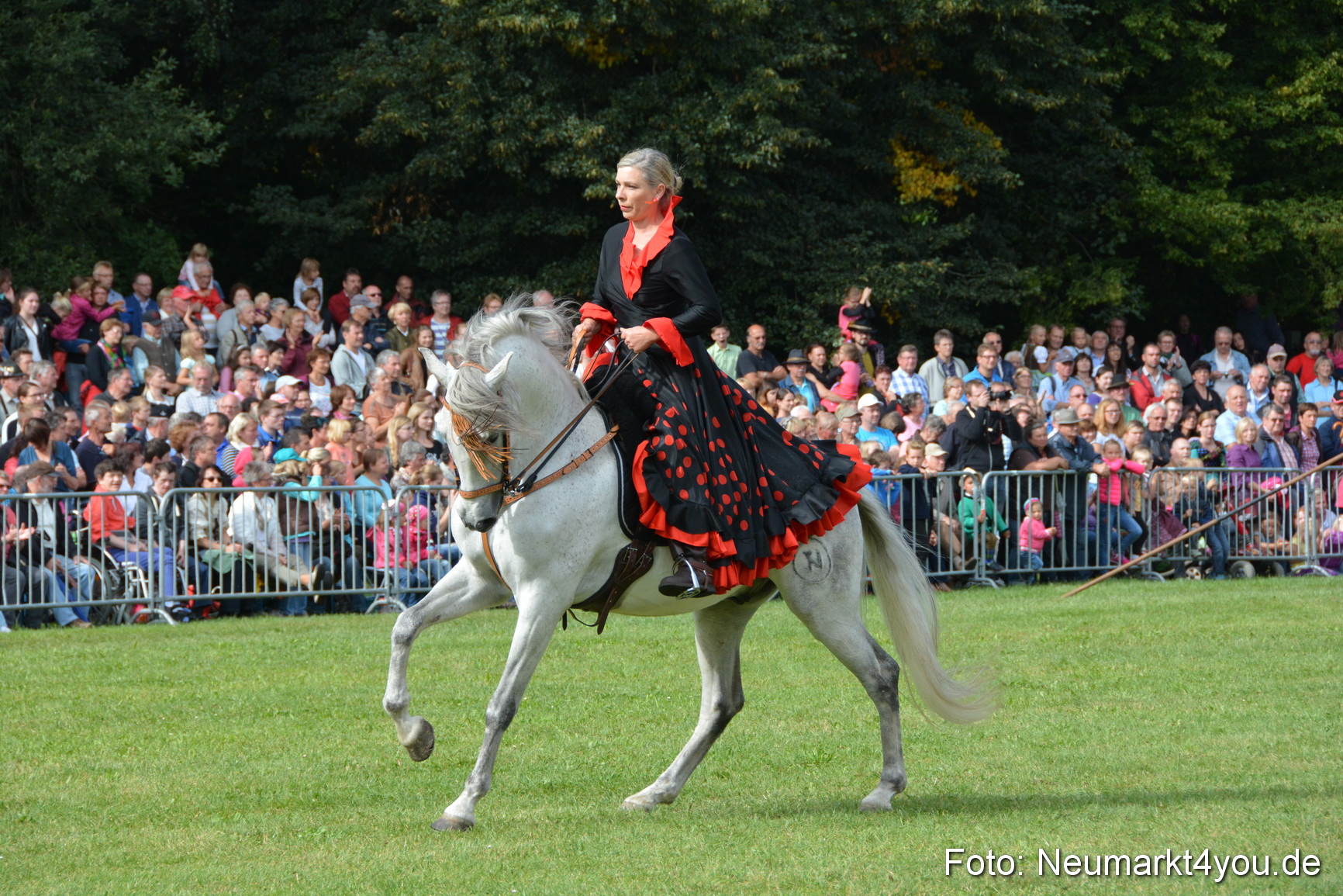 Pferde und Fohlenschau 2016 0191