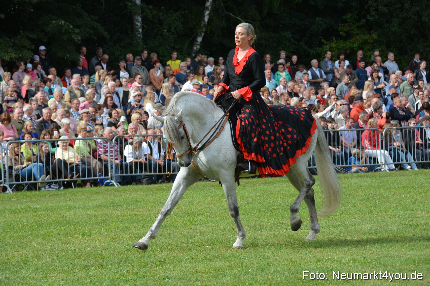 Pferde und Fohlenschau 2016 0192