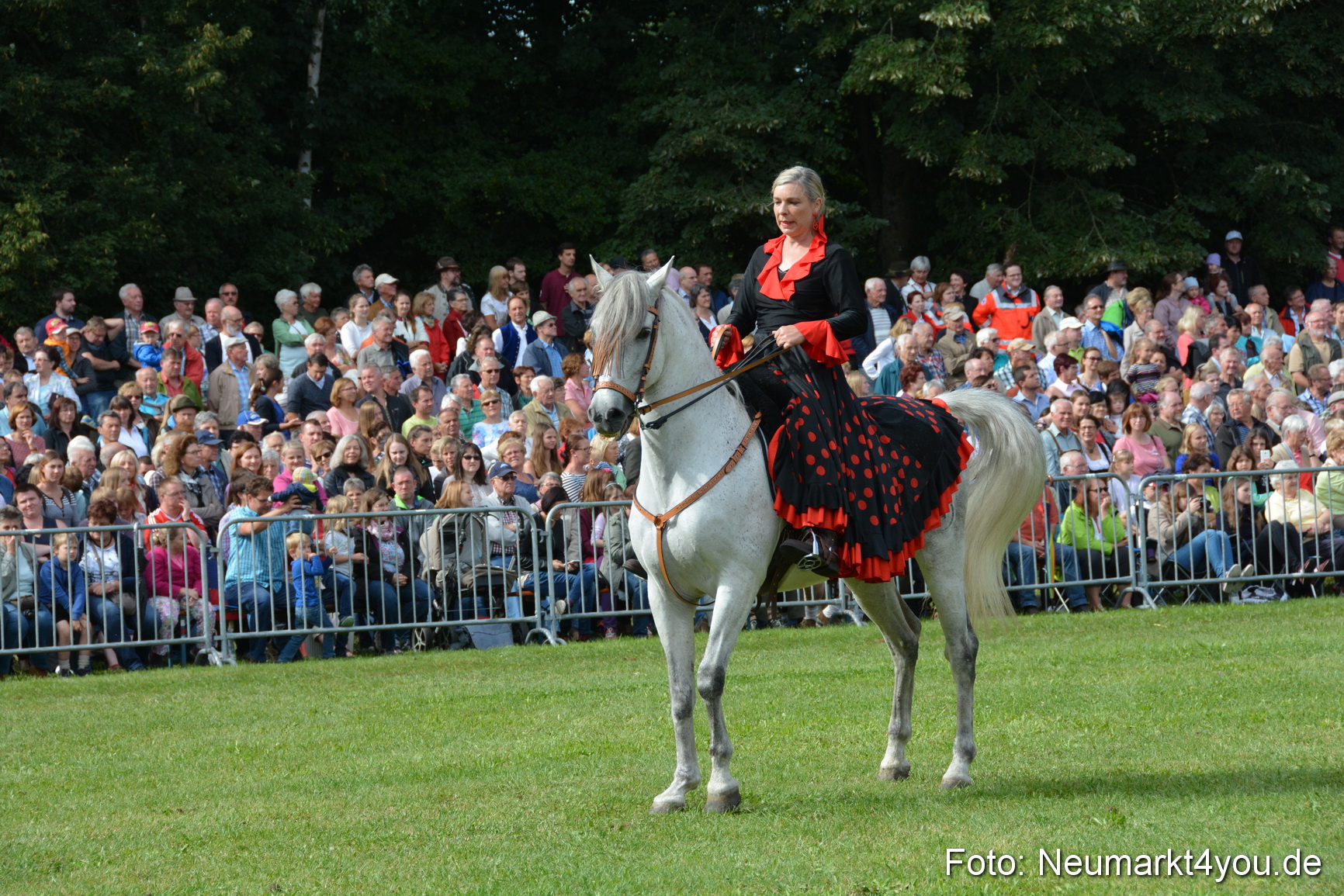 Pferde und Fohlenschau 2016 0193