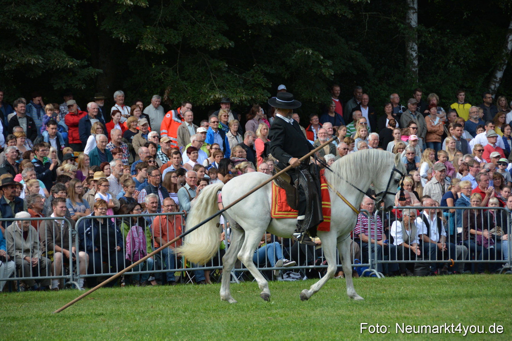 Pferde und Fohlenschau 2016 0194
