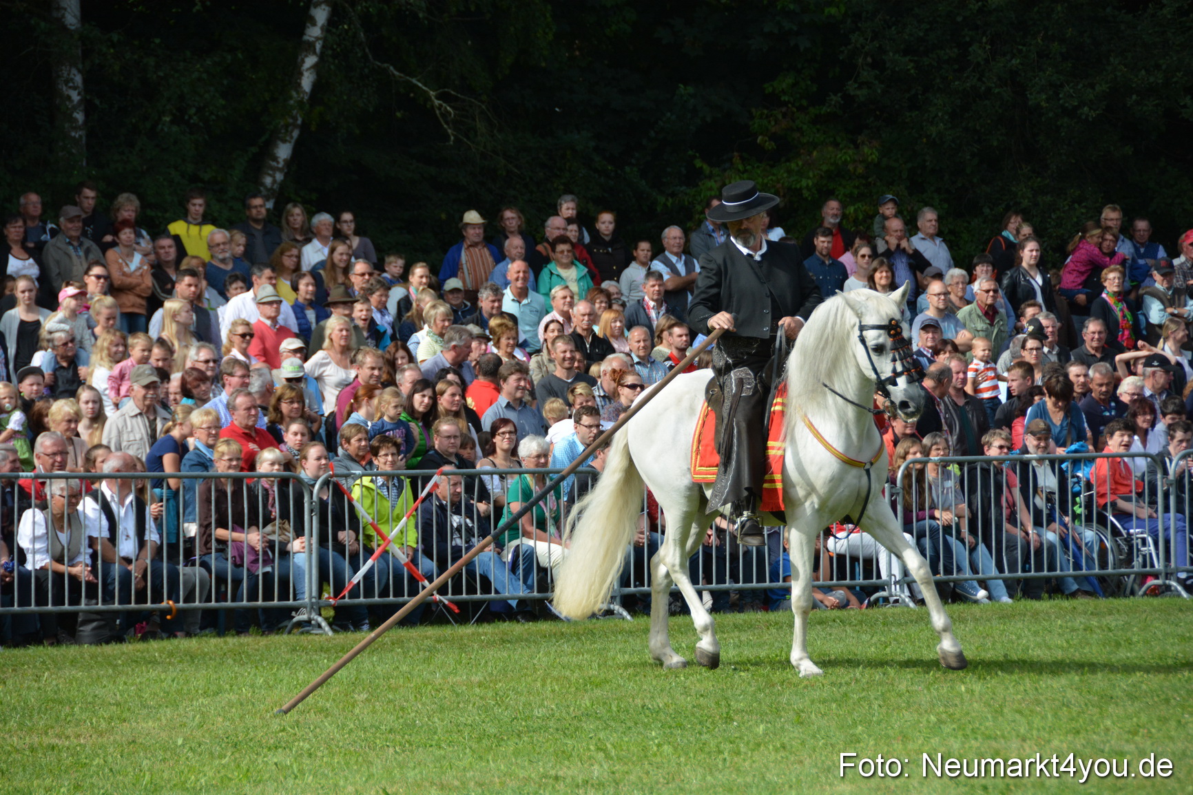 Pferde und Fohlenschau 2016 0195