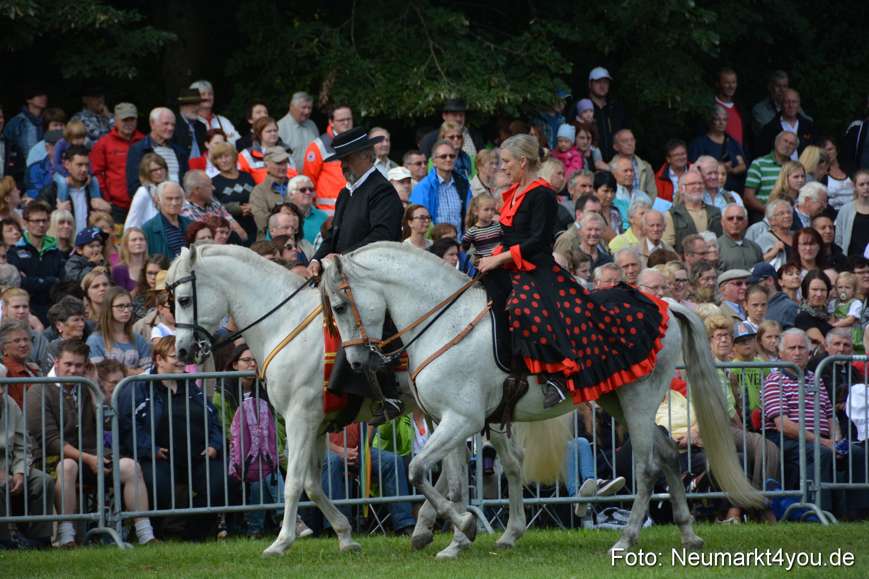 Pferde und Fohlenschau 2016 0196