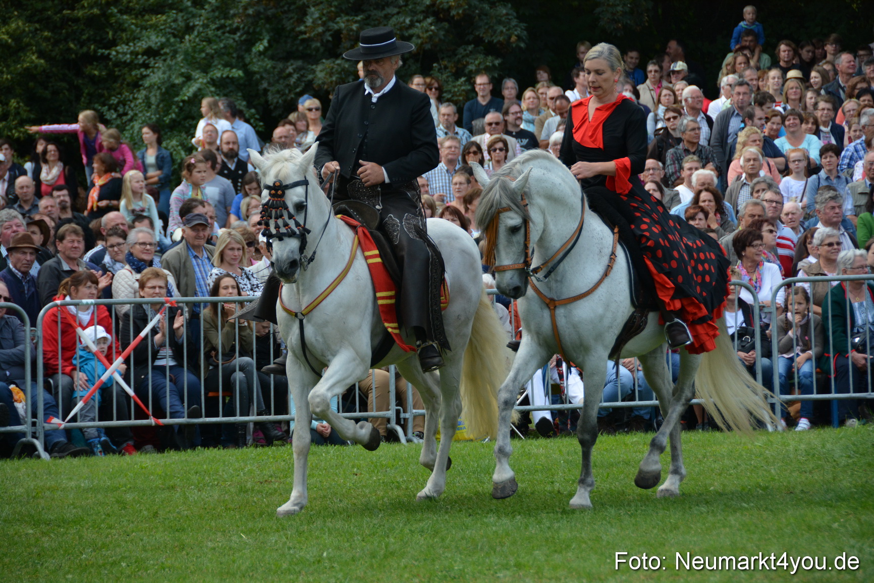Pferde und Fohlenschau 2016 0197