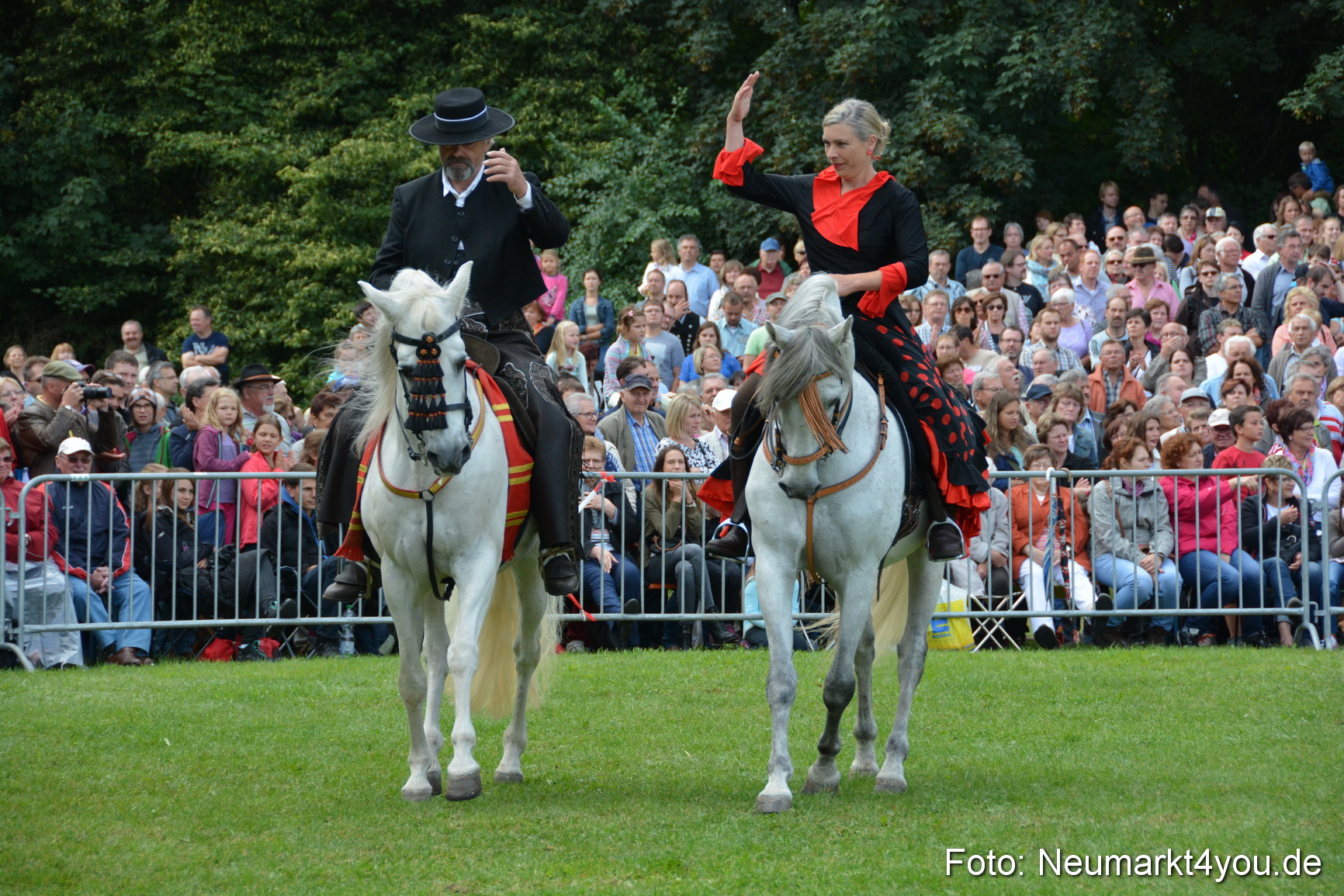 Pferde und Fohlenschau 2016 0198