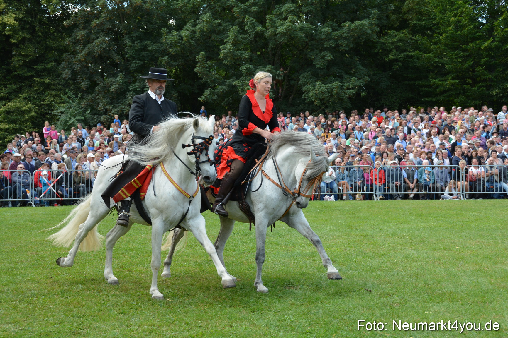 Pferde und Fohlenschau 2016 0199