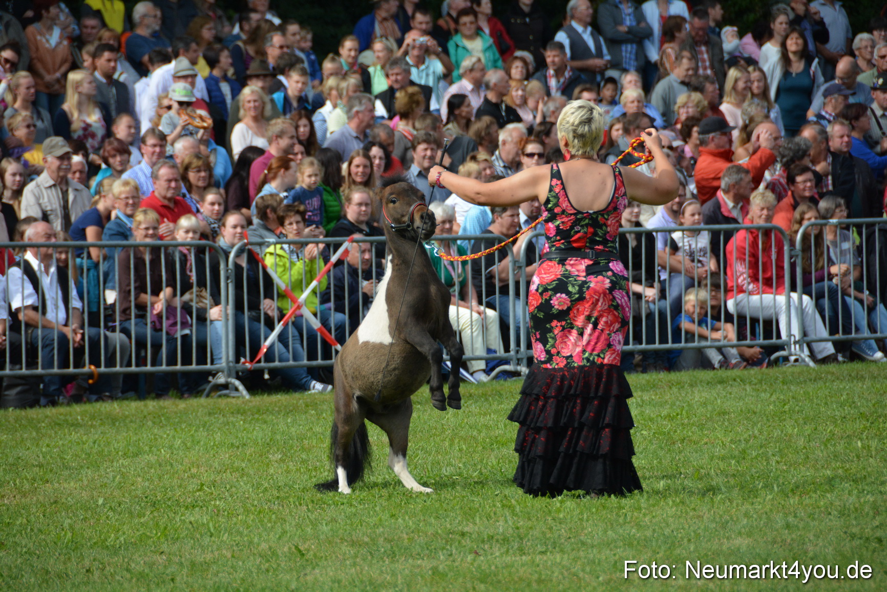 Pferde und Fohlenschau 2016 0200