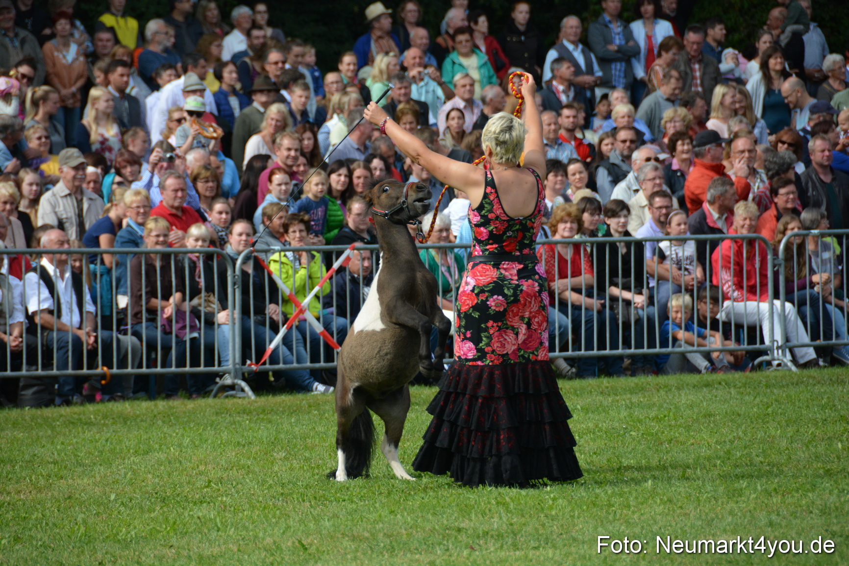 Pferde und Fohlenschau 2016 0201
