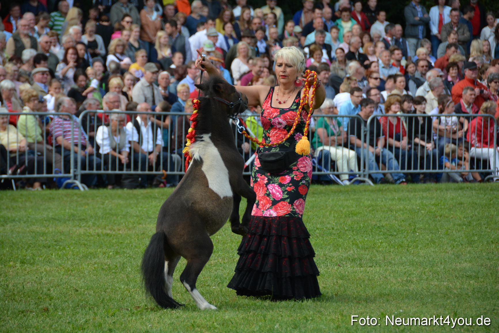Pferde und Fohlenschau 2016 0205
