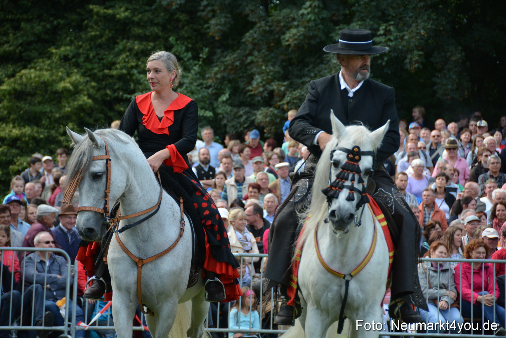 Pferde und Fohlenschau 2016 0207