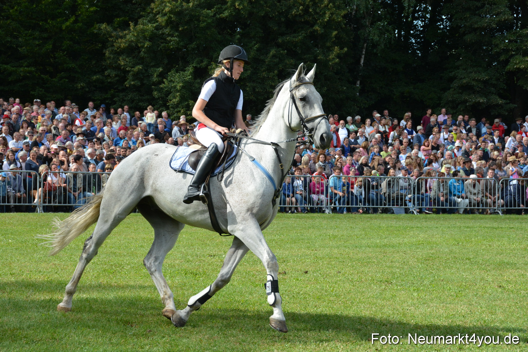 Pferde und Fohlenschau 2016 0209