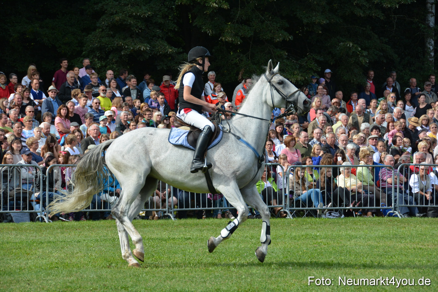 Pferde und Fohlenschau 2016 0210
