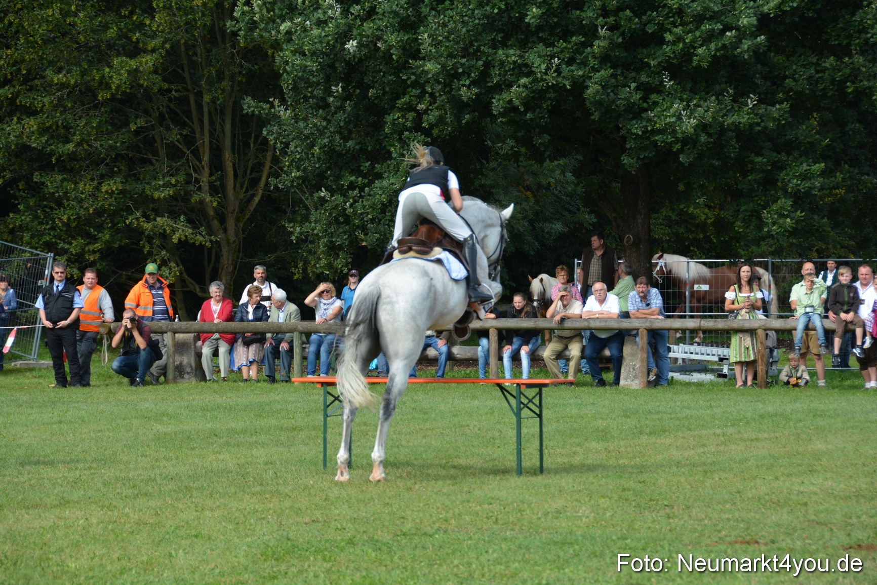 Pferde und Fohlenschau 2016 0211