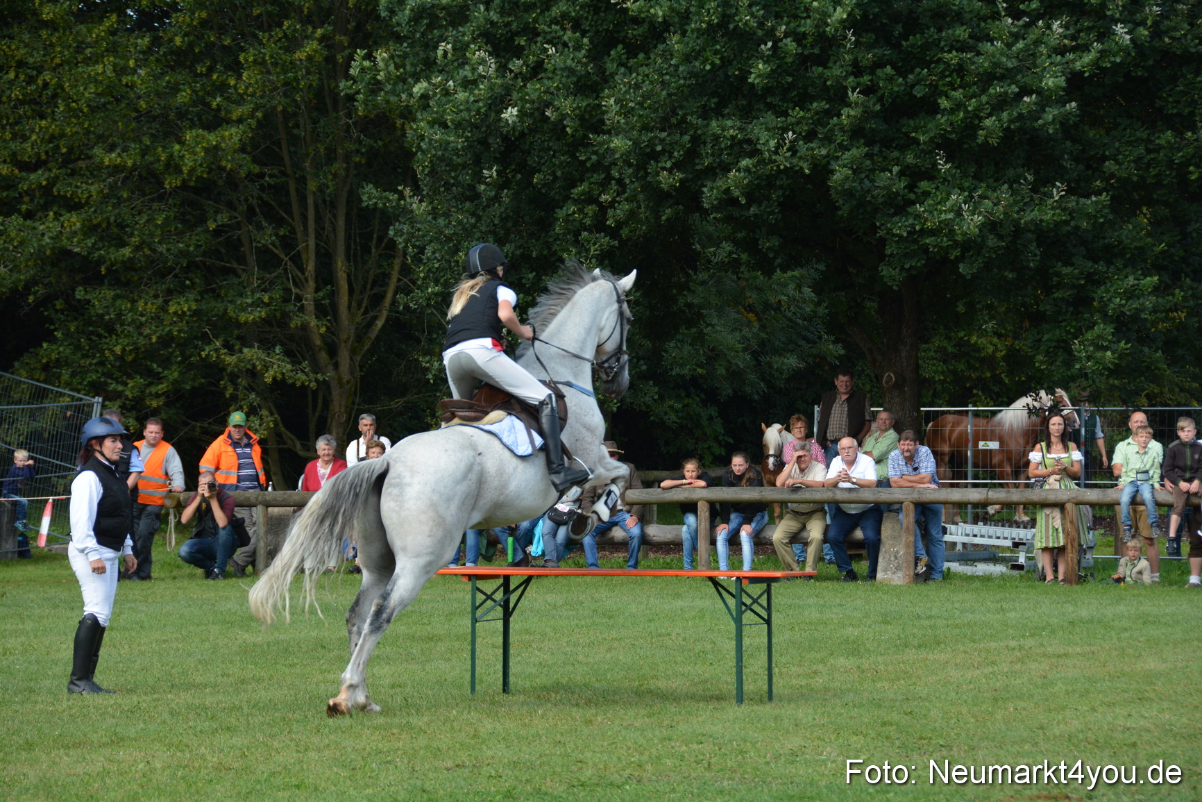 Pferde und Fohlenschau 2016 0212