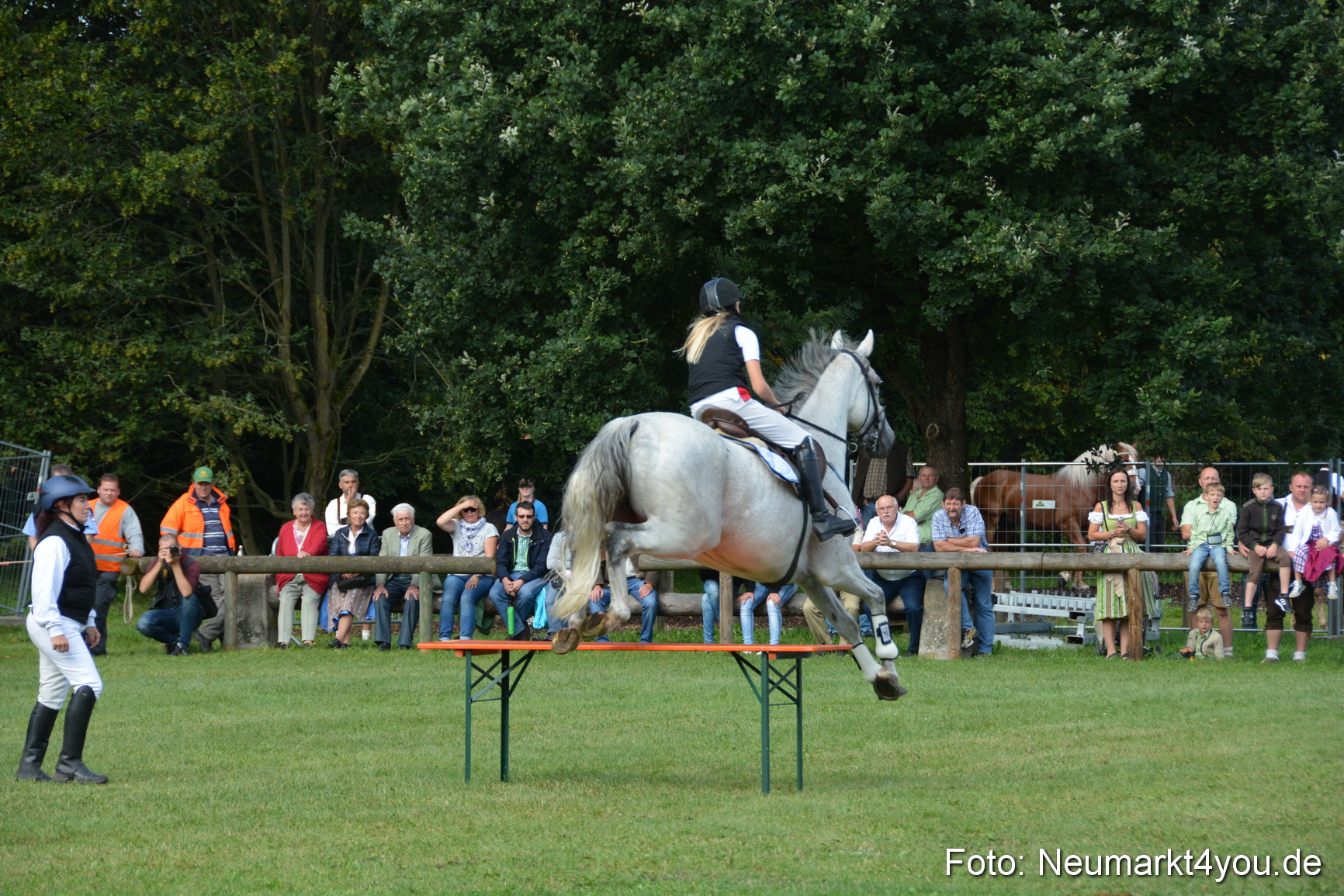 Pferde und Fohlenschau 2016 0213
