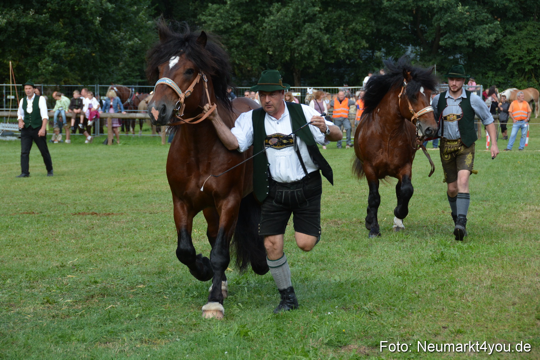 Pferde und Fohlenschau 2016 0217