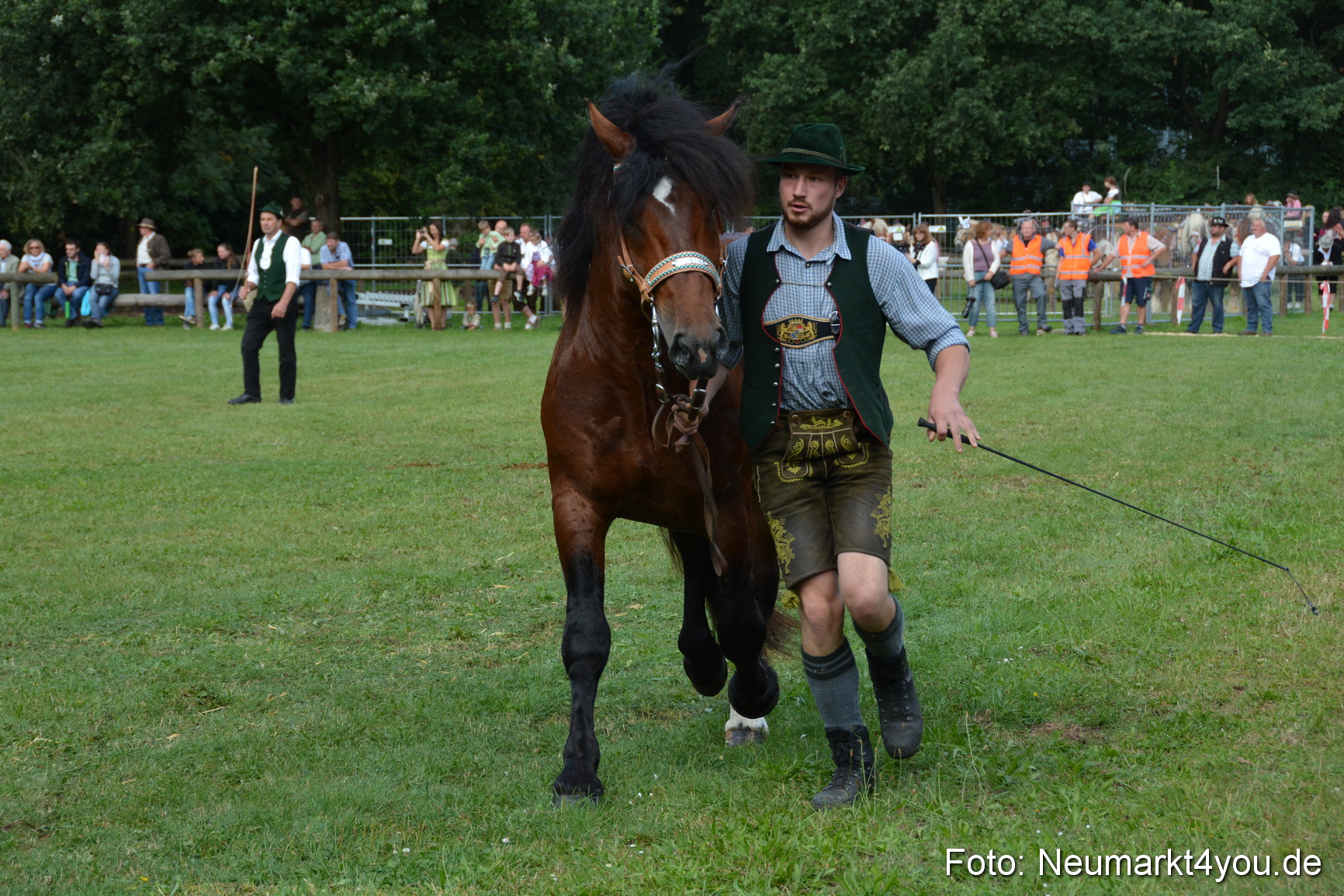Pferde und Fohlenschau 2016 0219