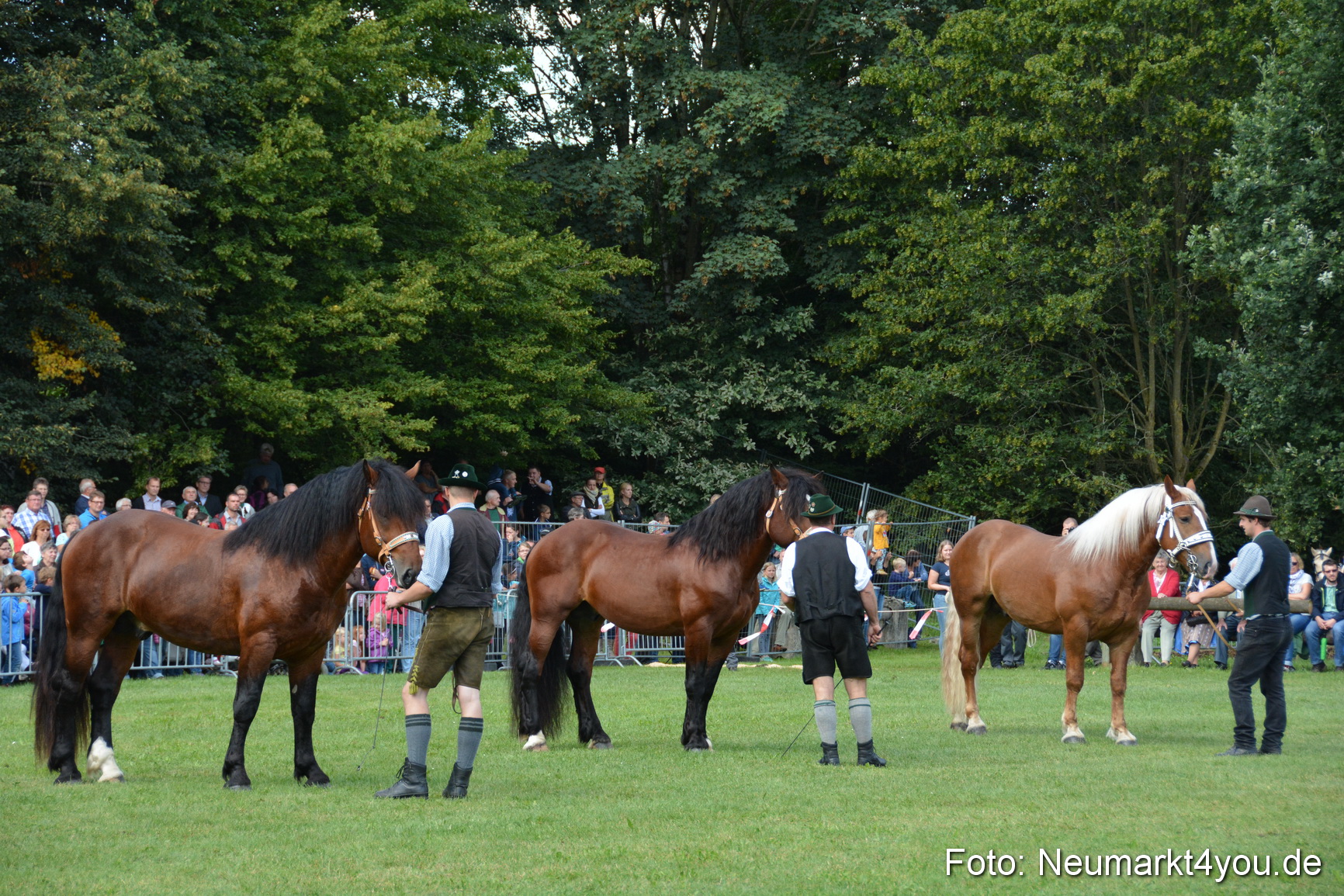 Pferde und Fohlenschau 2016 0220
