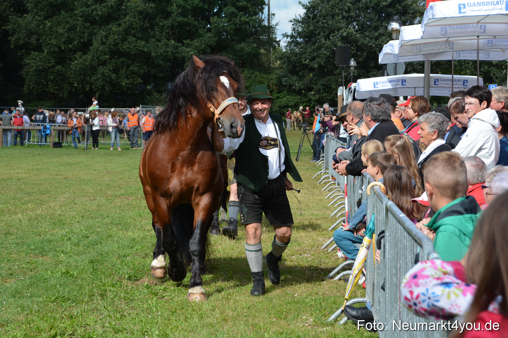 Pferde und Fohlenschau 2016 0231