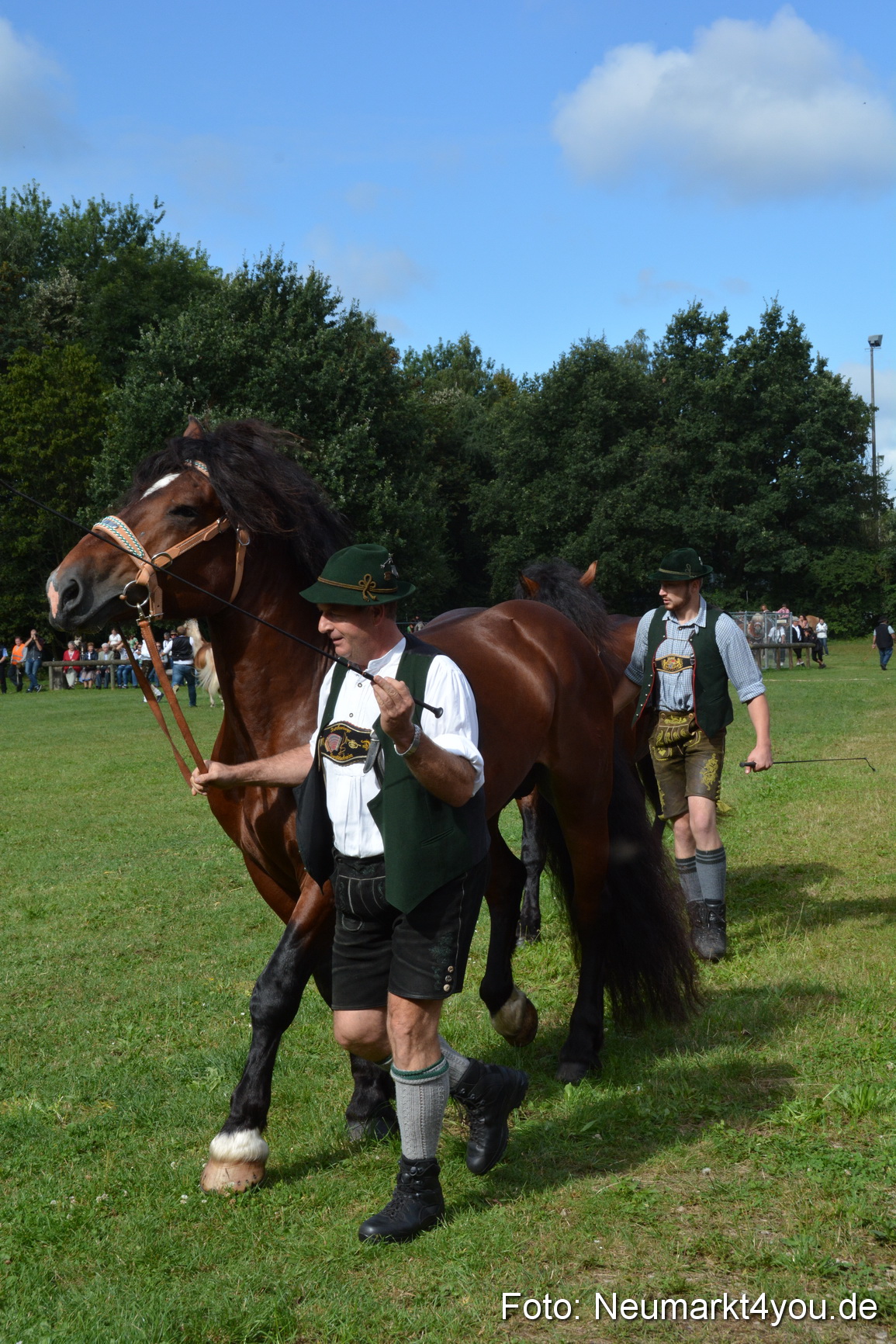 Pferde und Fohlenschau 2016 0232