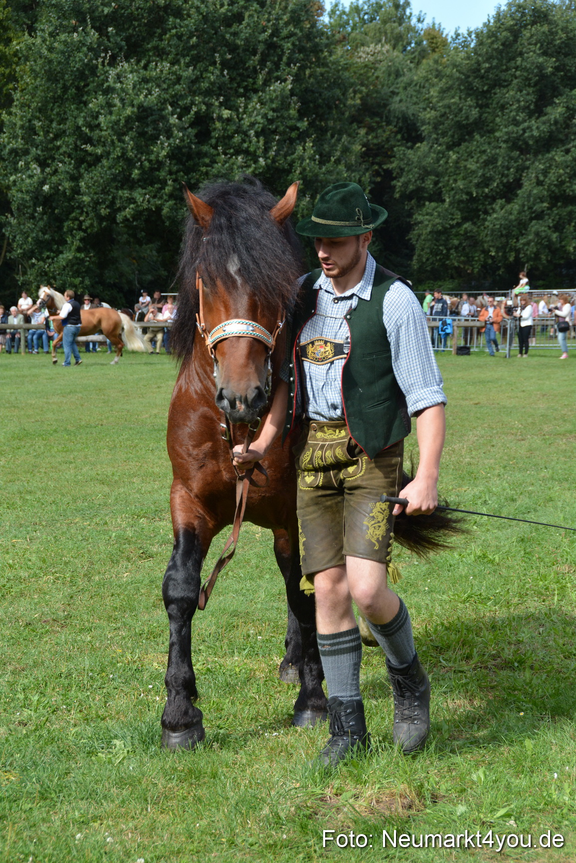 Pferde und Fohlenschau 2016 0233
