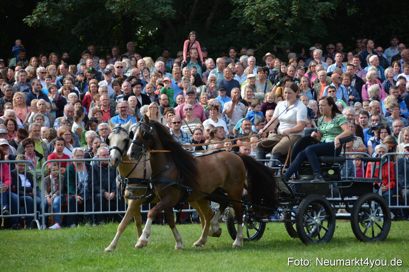 Pferde und Fohlenschau 2016 0234
