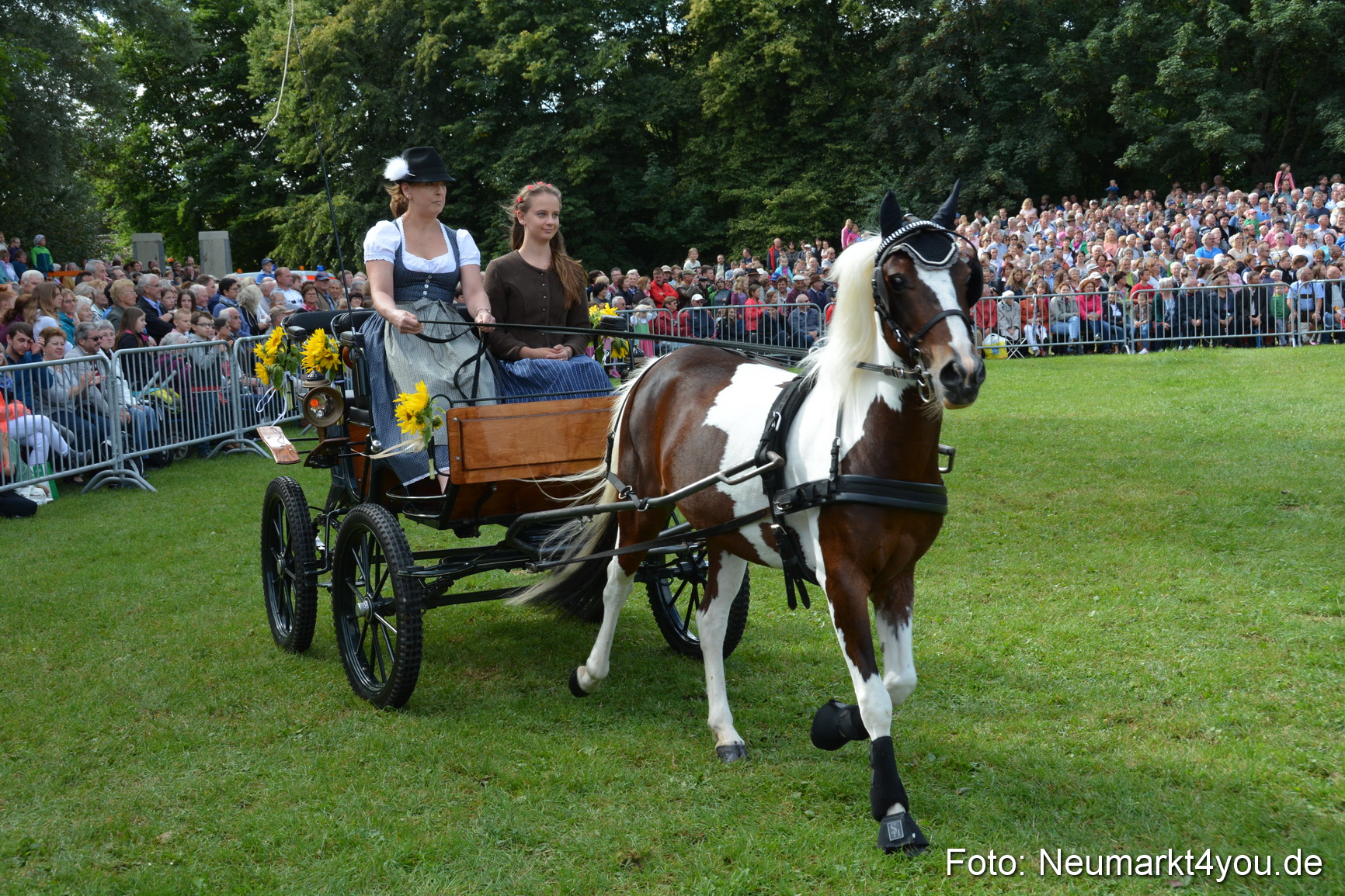 Pferde und Fohlenschau 2016 0236